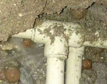 伍家岗测漏水多少钱