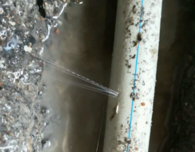 伍家岗测漏水哪家好