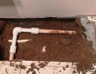 伍家岗测漏水哪家好