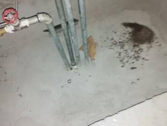 伍家岗卫生间测漏水价格明细