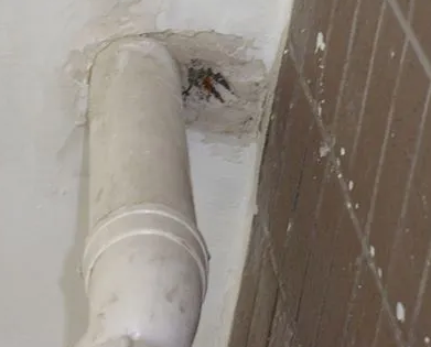 伍家岗漏水检测哪家好